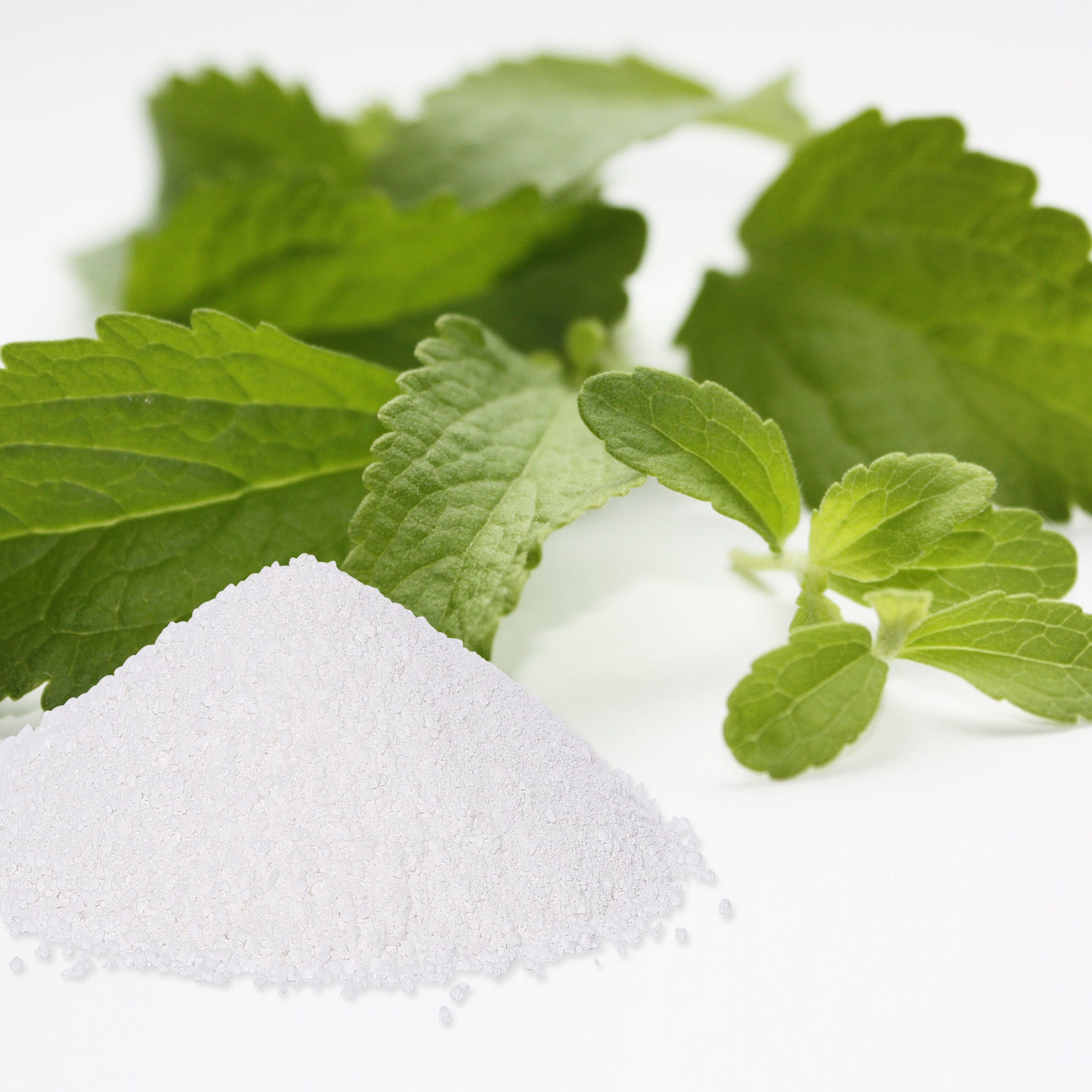 Stevia erythrit - Unser Testsieger 