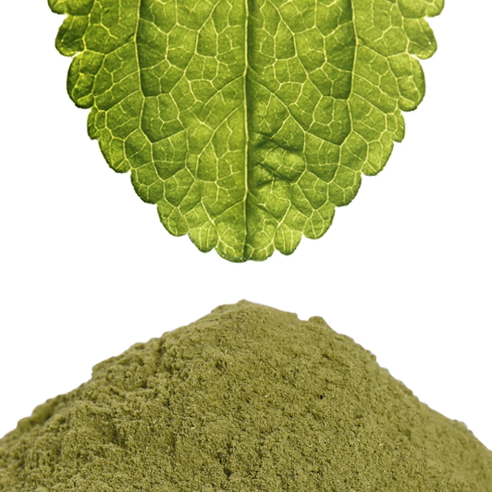 stevia powder