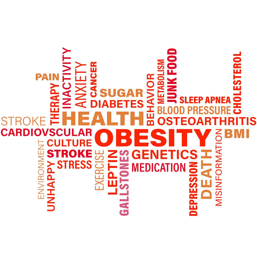 Übergewicht Adipositas Obesity Fettleibigkeit